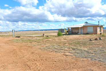 p6.jpg