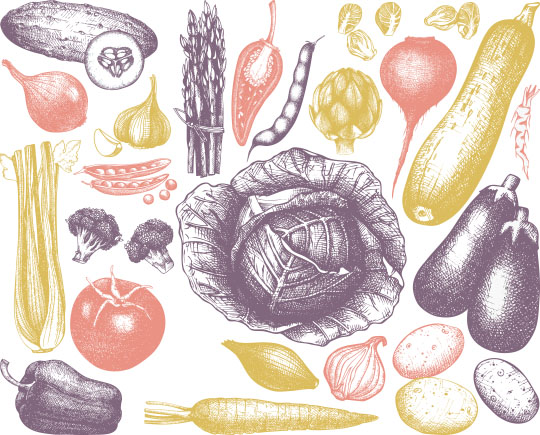 photo_PlantsFood.jpg