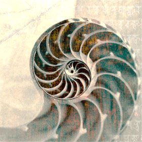 bonus_centerYou.jpg