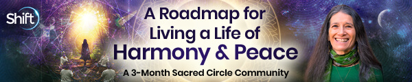 The Shift Network