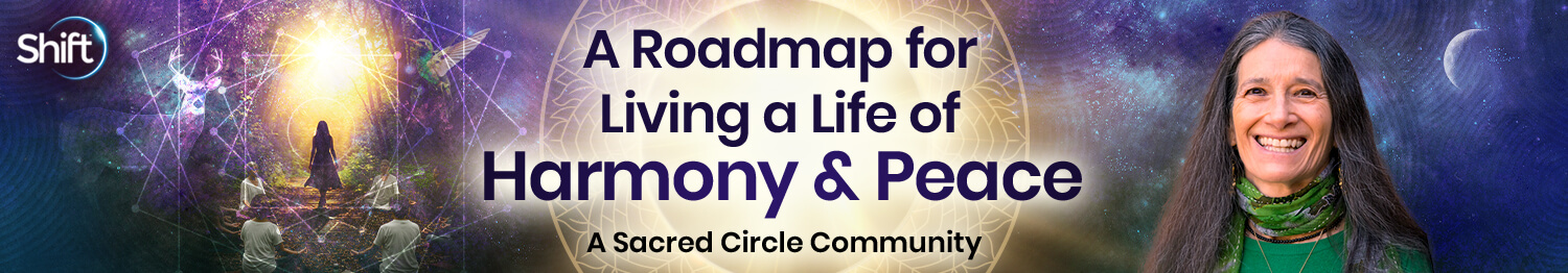 The Shift Network