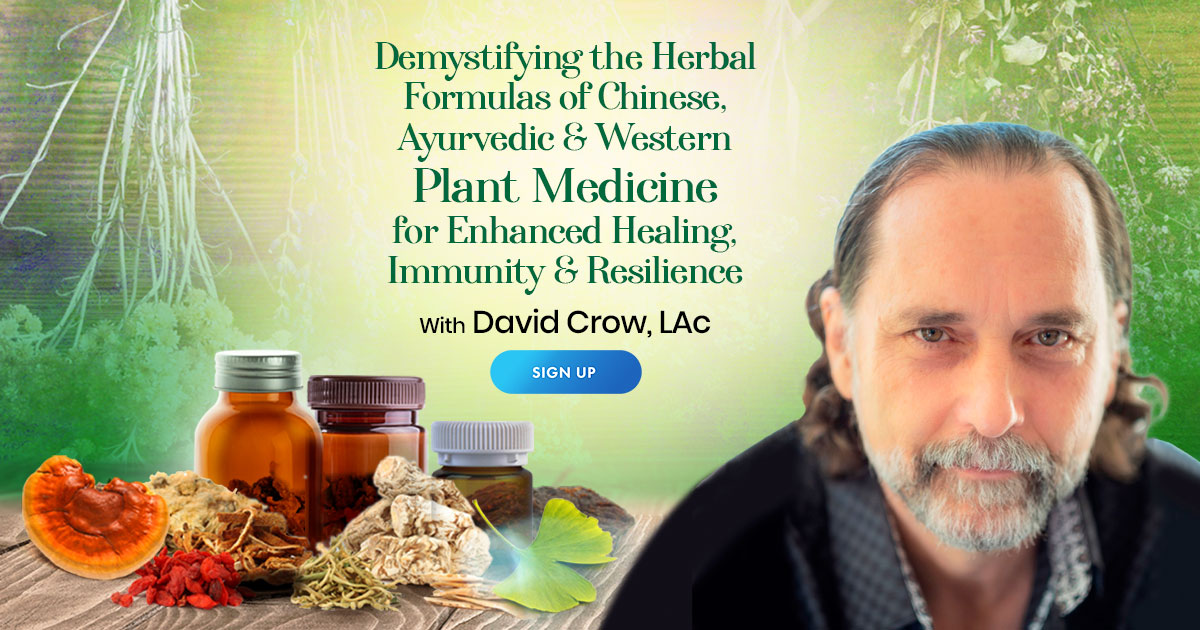 Demystifying the Formulas of Chinese, Ayurvedic & Western Plant ...