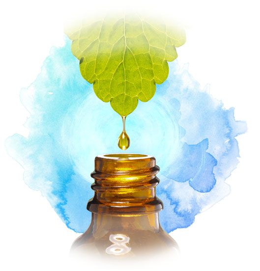 photo_LeafDrop.jpg