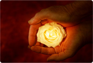 photo-RoseHands.jpg