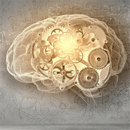 module6.jpg