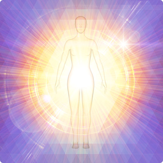 photo_body3.jpg