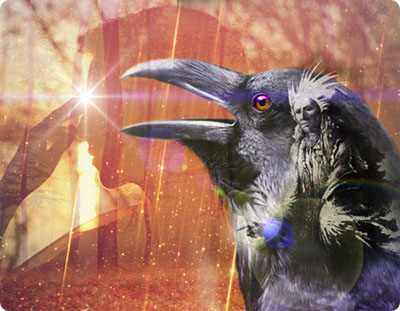 photo_CrowTalk.jpg