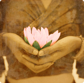 photo_HoldLotus.jpg